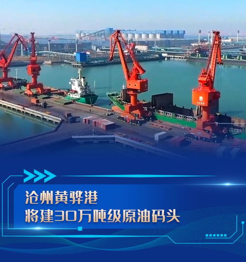 河北項目建設(shè)高歌猛進 碼頭建設(shè)與管理匯聚發(fā)展新動能